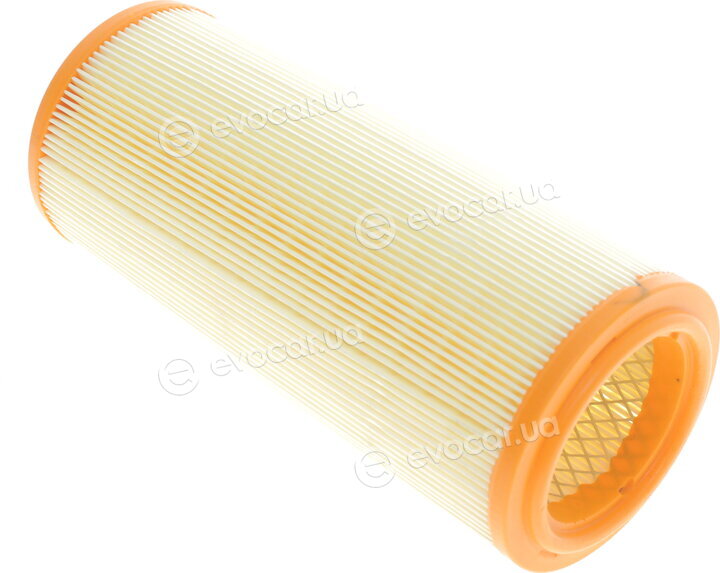 Solgy 103008