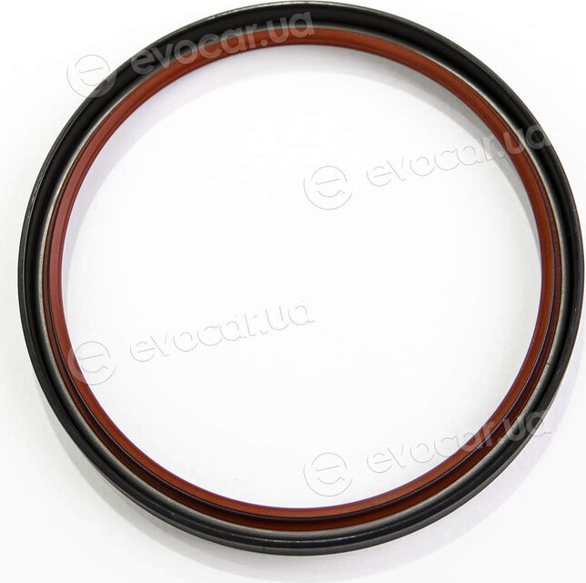 Elring 294.060