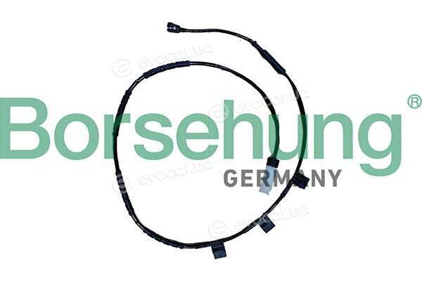 Borsehung B13166