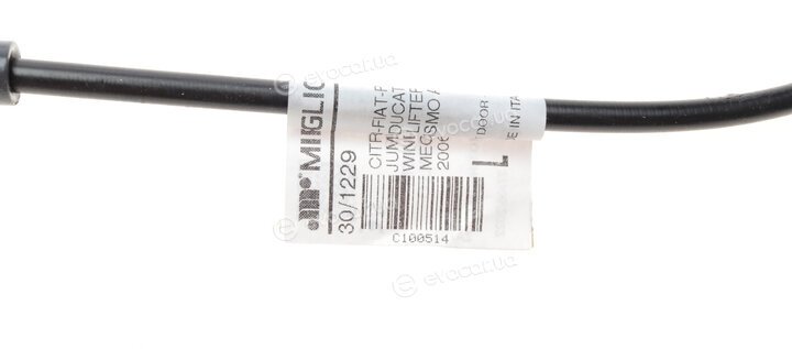 Miraglio 30/1229