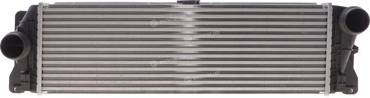 Solgy 112081