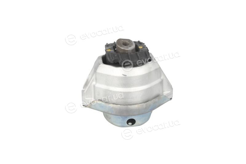 Hutchinson 586410