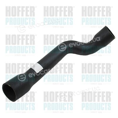 Hoffer 96556