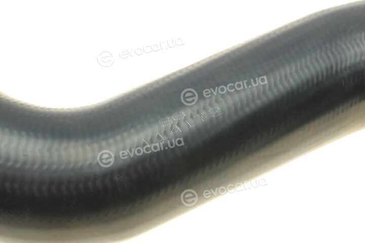 Solgy 114172