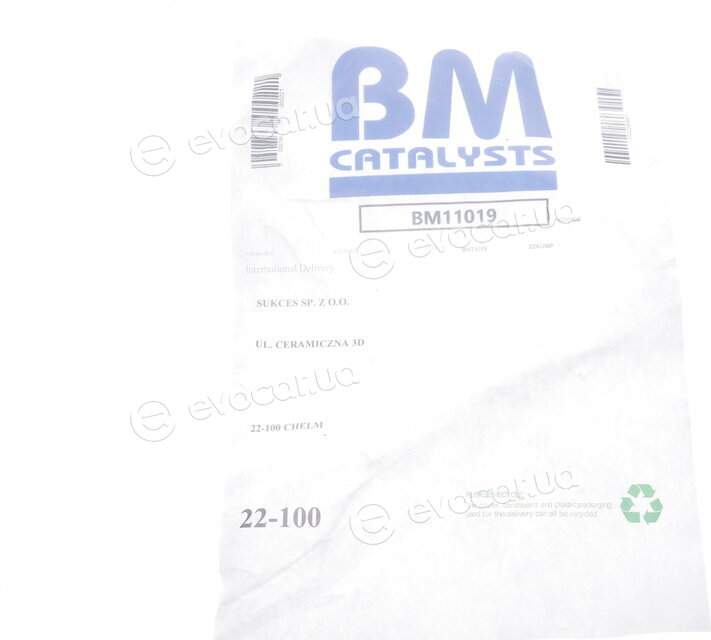 BM Catalysts BM11019