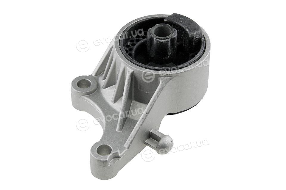 NTY ZPS-PL-036