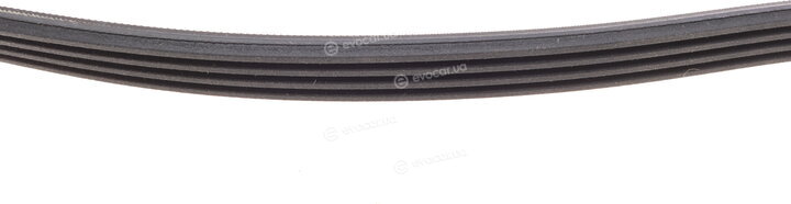 Continental 4PK917 ELAST