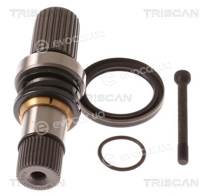 Triscan 8540 295005