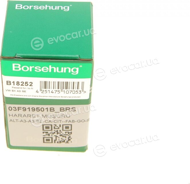 Borsehung B18252