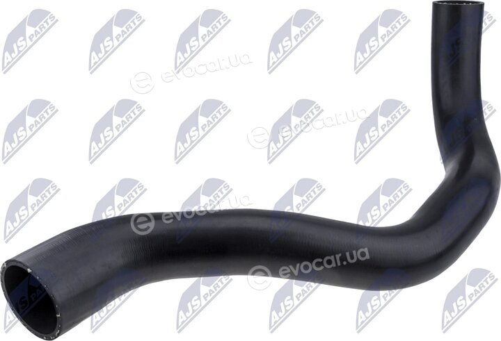 NTY GPP-MS-006