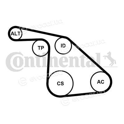 Continental 6PK1038K1