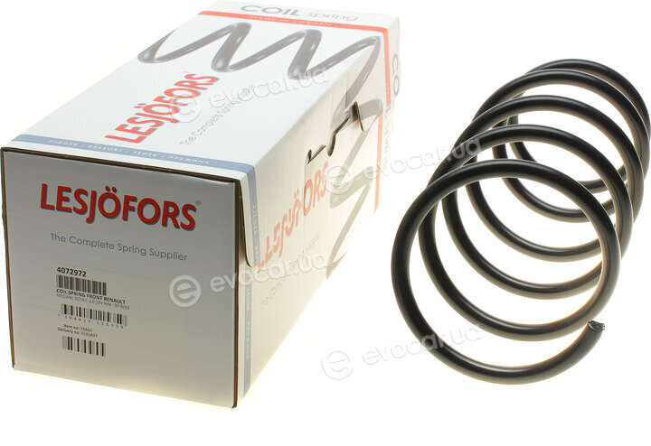 Lesjofors 4072972