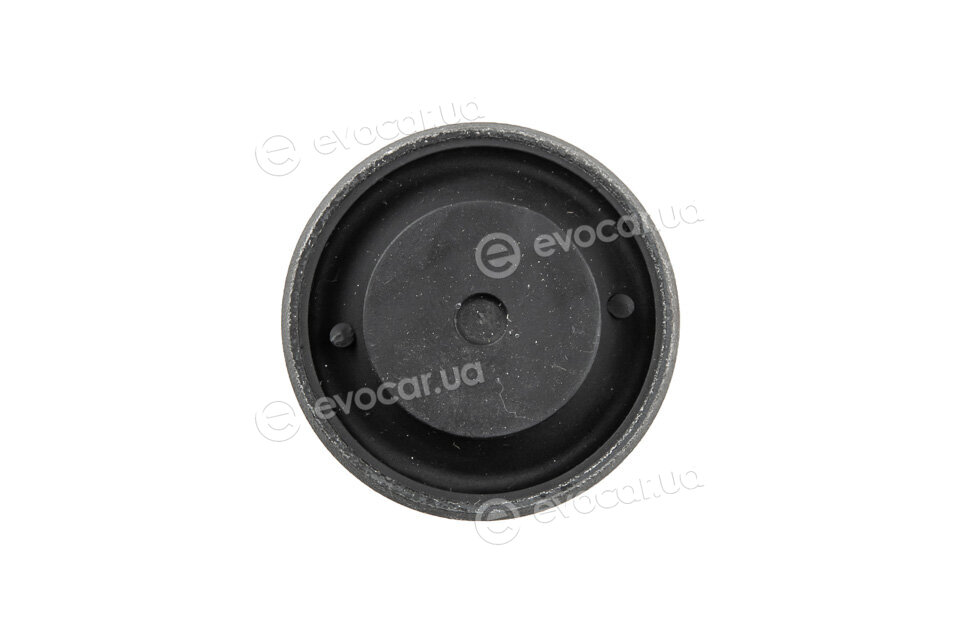 NTY ZTP-DW-081B