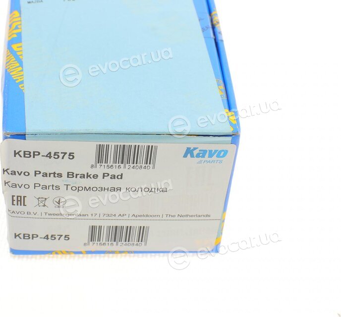 Kavo KBP-4575