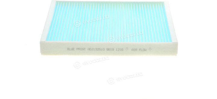Blue Print ADJ132510