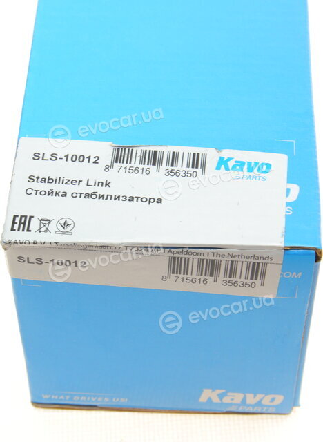 Kavo SLS-10012