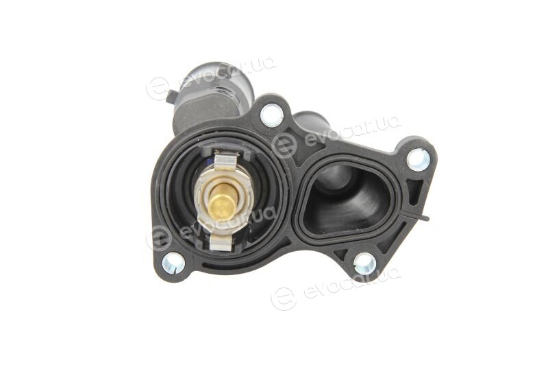 Mahle TM 31 98