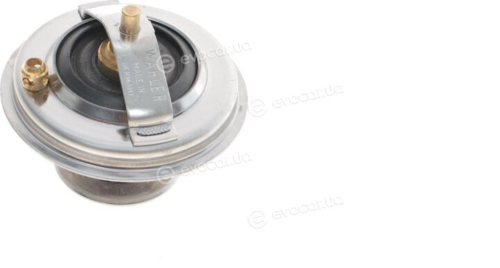 Wahler / BorgWarner 4123.80D