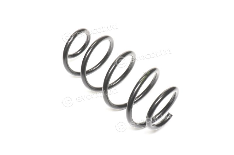 Lesjofors 4004262