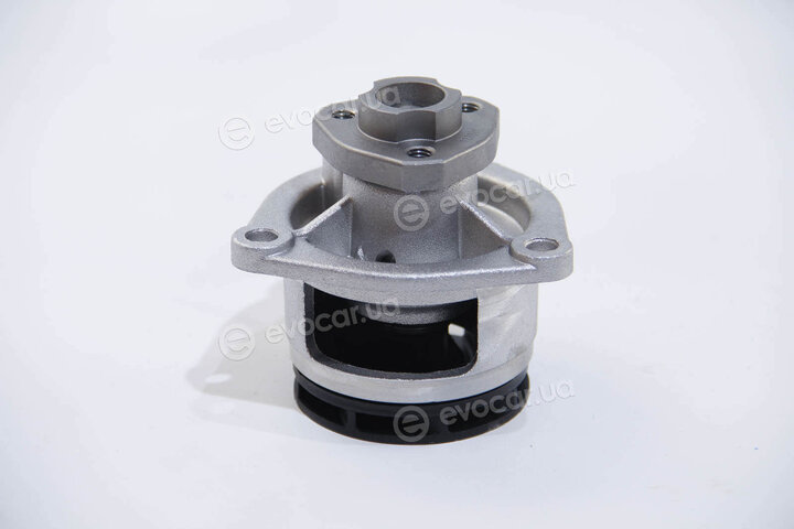 Dolz O181