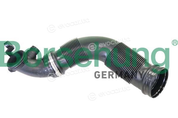 Borsehung B12335