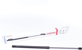 Lesjofors 8195006