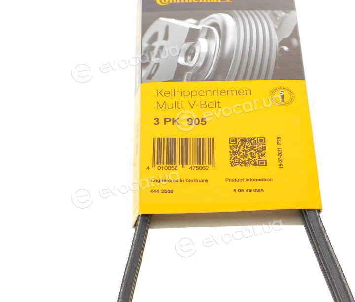 Continental 3PK905