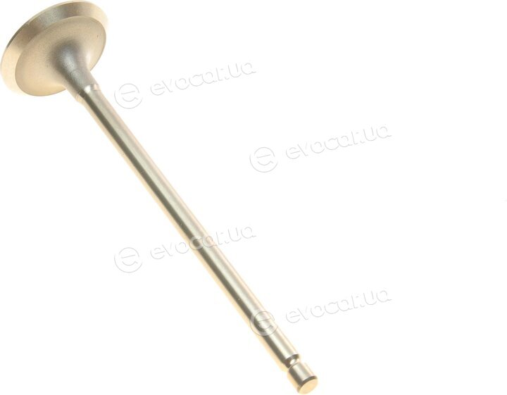 AMP PMIT061-S-0-N