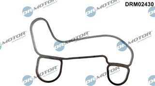 Dr. Motor DRM02430