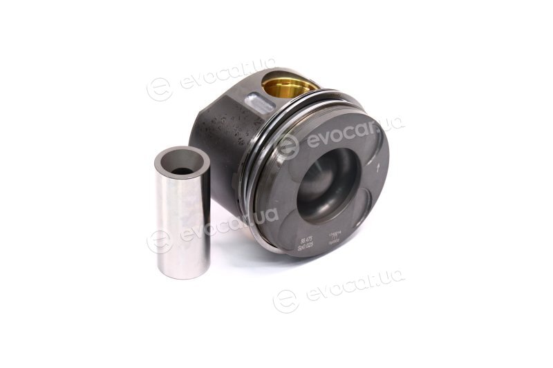 Mahle 001 PI 00105 002