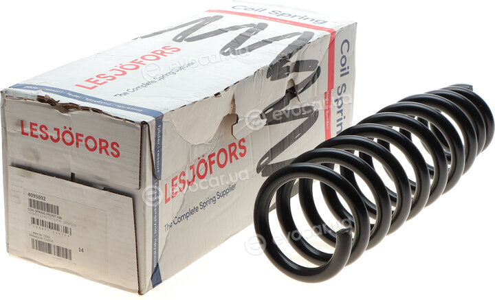 Lesjofors 4095092