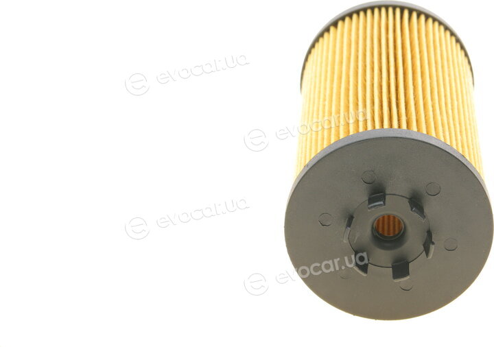 Borsehung B12220