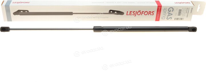 Lesjofors 8056831