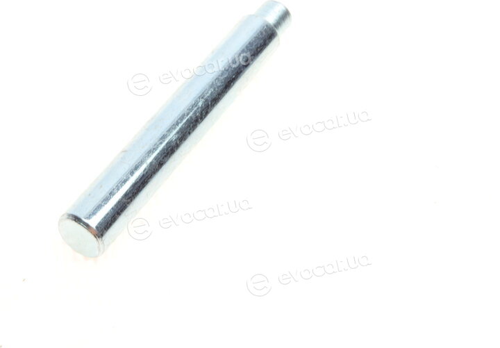 Solgy 306170