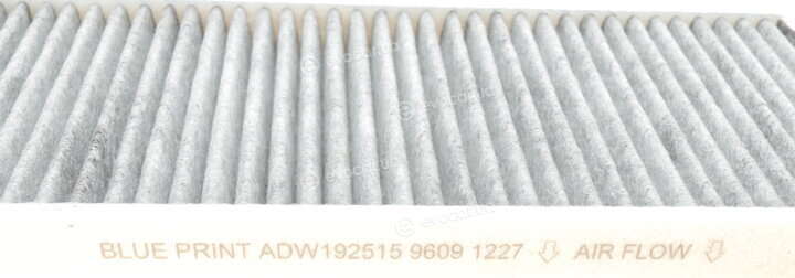 Blue Print ADW192515