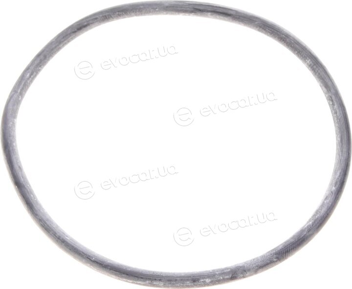 Mahle OX 153D3