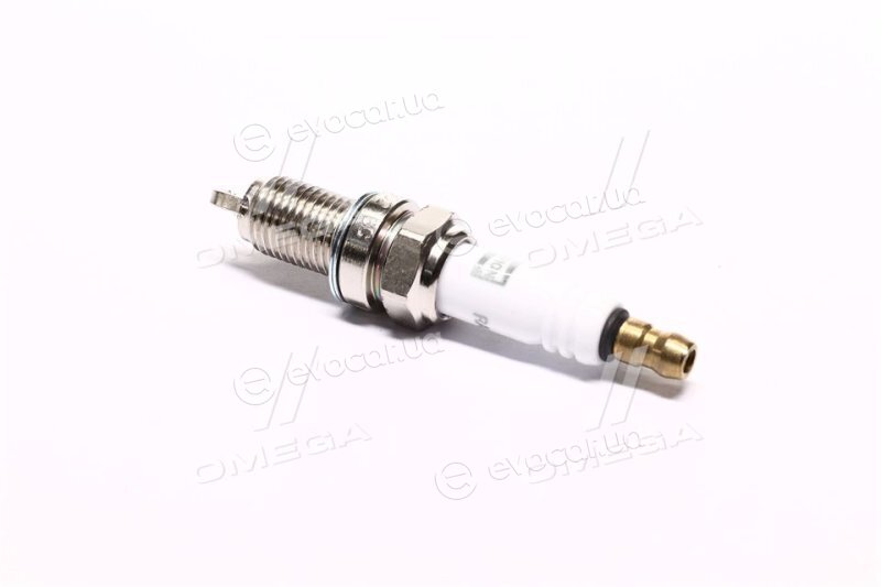 Champion OE196/T10