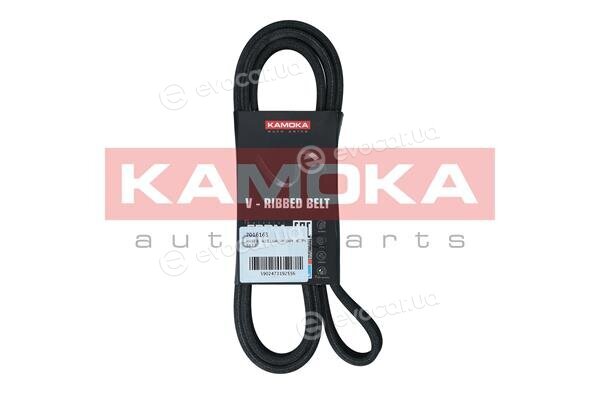 Kamoka 7016163