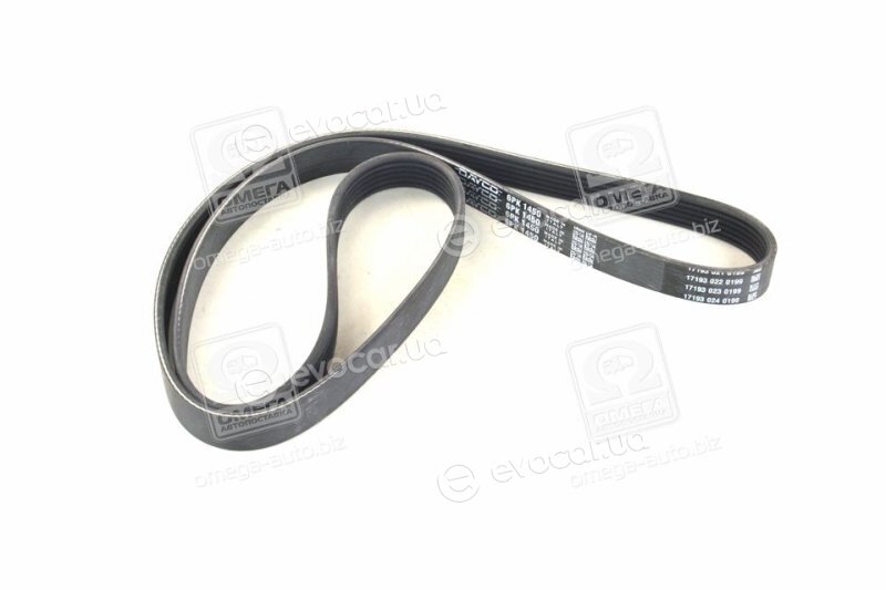 Dayco 6PK1450
