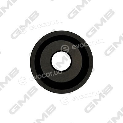 GMB GT60410