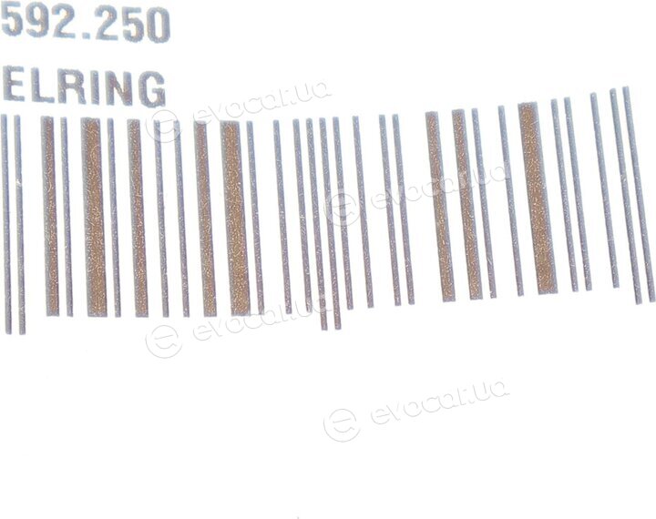 Elring 592.250