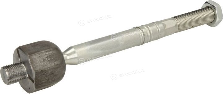Reinhoch RH020031