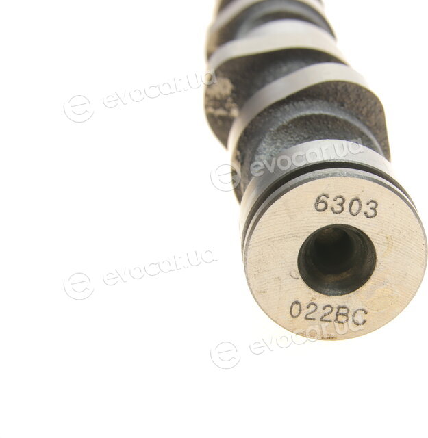 Kolbenschmidt 50006303