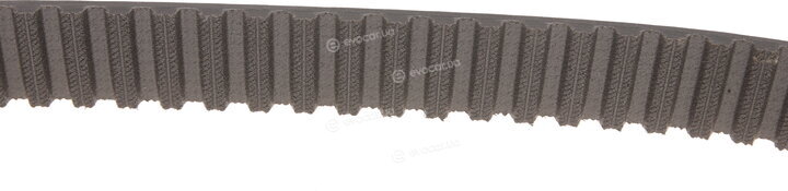Gates K035323XS