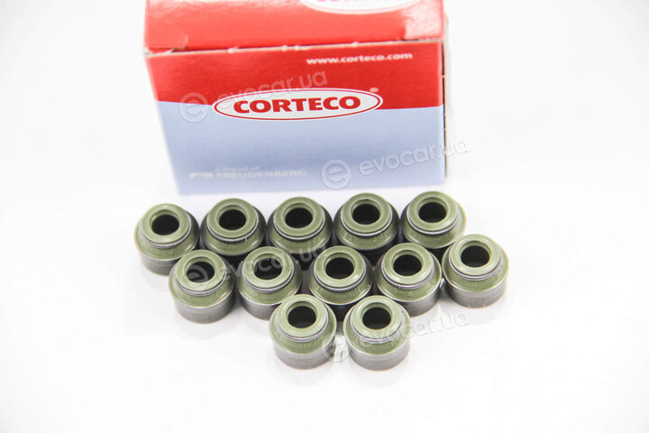 Corteco 19036018