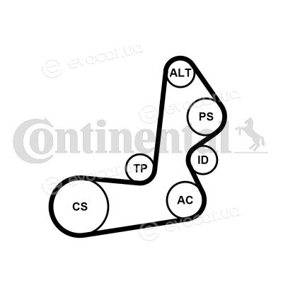 Continental 6PK1515K1