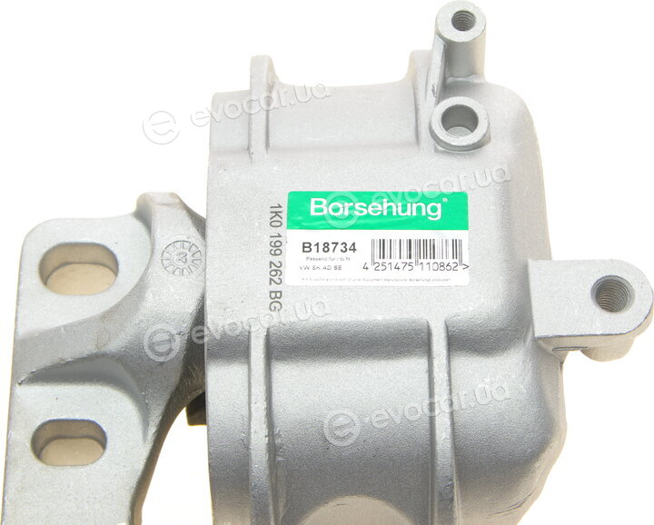 Borsehung B18734