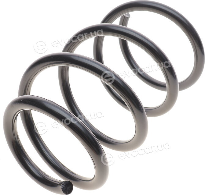 Lesjofors 4062078