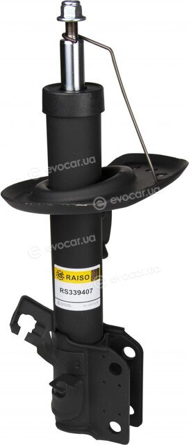 Raiso RS339407