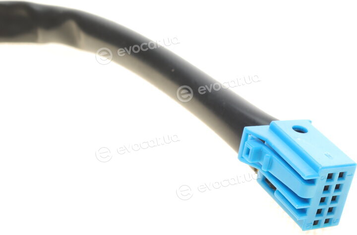 AIC 55997